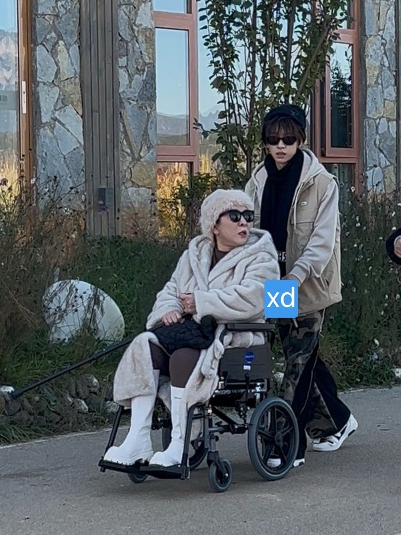 但是我家贺贺不光搬了27个行李箱还推向太 扶着向太 ​