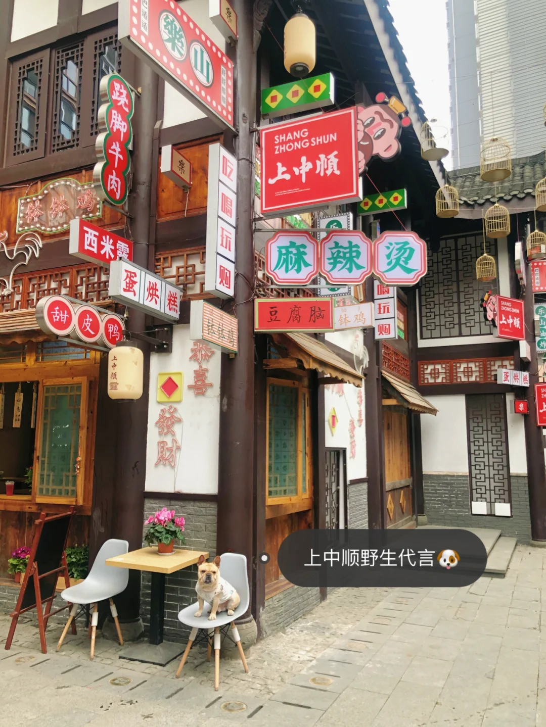 周末去哪儿｜乐山本地人告诉你一天如何逛吃