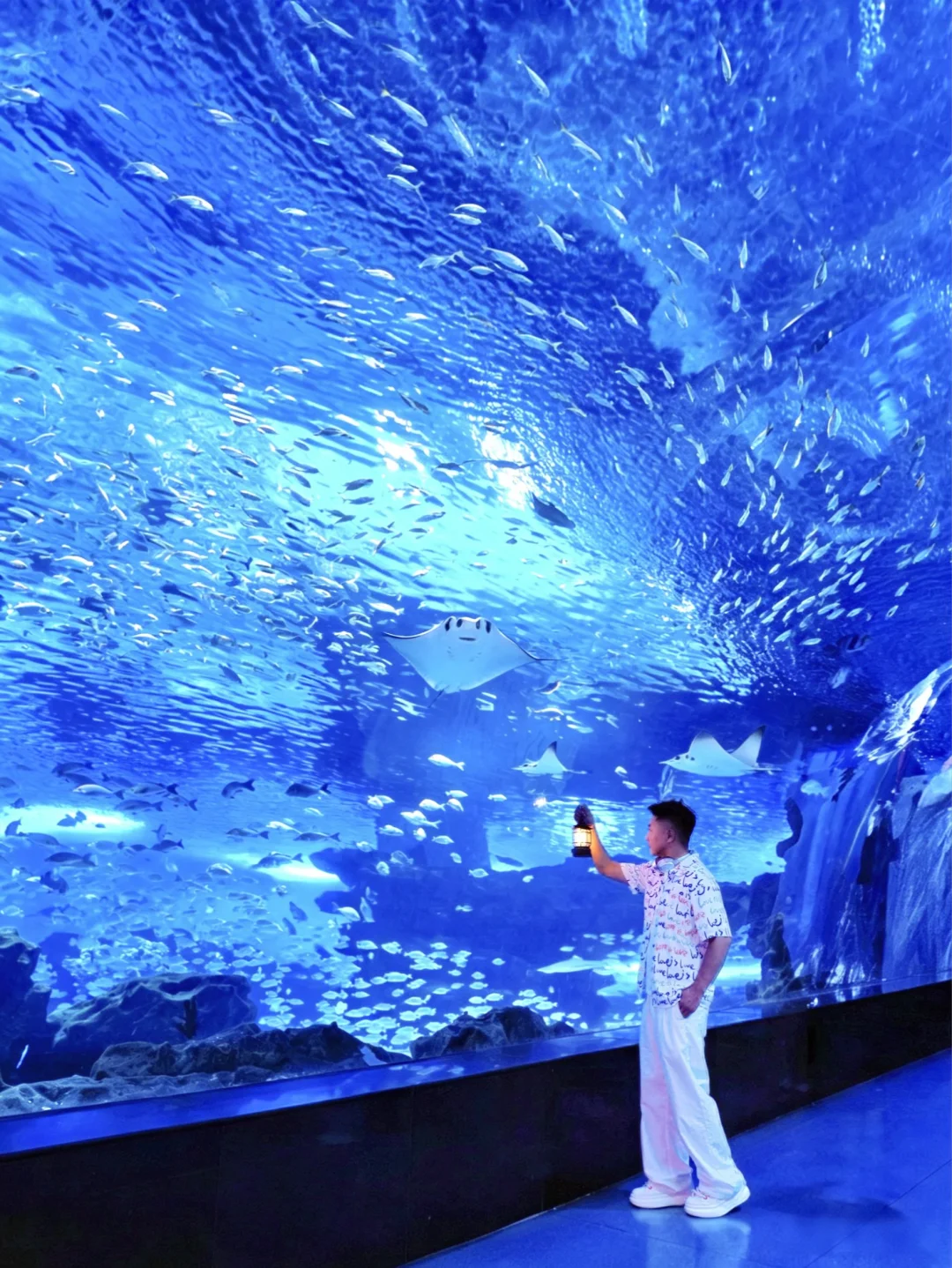 五一反向旅游❗️天津极地海洋度假区超全攻略