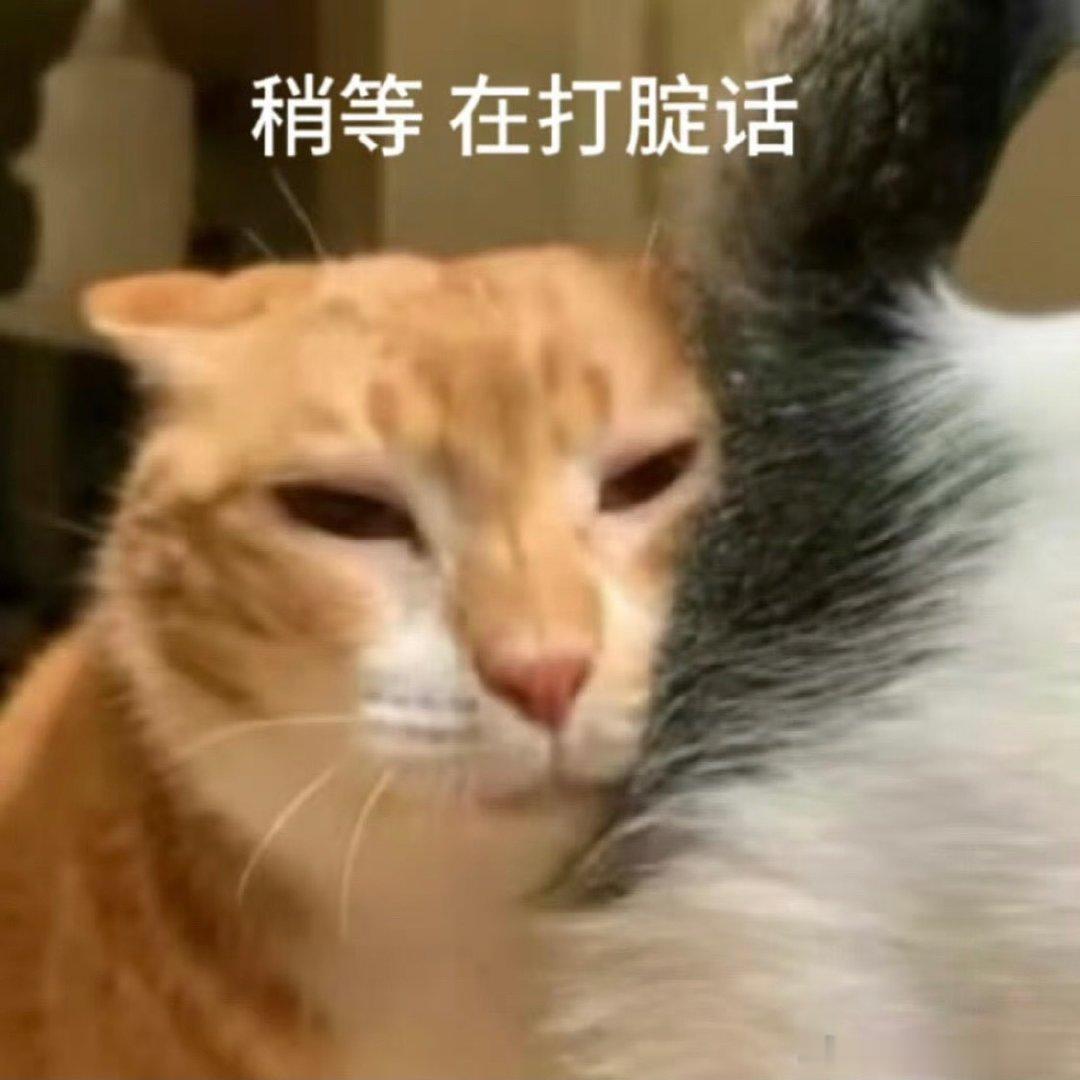 #王力宏帮陈建州拿尿壶#
微博词条堪比港媒，这么私密的行为非要让我知道吗？[疑问][疑问][疑问] ​