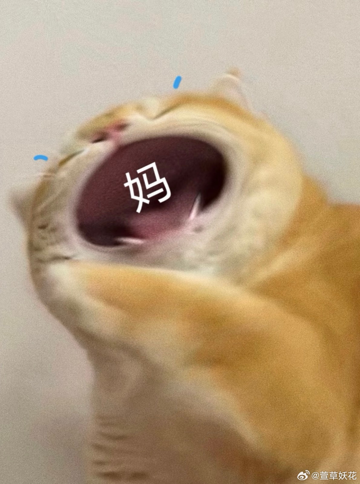 我是被兜崽的碎碎念吵醒的起因是丑爹让我给砸买一个丙烯马克笔，要带去幼儿园。我买了，忘记拆了，今早不知咋滴孩子自己拆了。然后他就碎碎念了半个小时，声音超级大：“这是妈妈给我买滴、这是我妈妈给我买滴。”就这么反复念叨，然后婆婆受不了了，也超级大声：“我知道了！！！我没妈妈给我买，你有！！”他们在门口穿鞋子，门口离我房间更近，兜崽再次超级大声的炫耀，我躺床上听的更清楚了。“这是妈妈给我买滴，我是我妈妈给我买滴。”…终于，听见了开门声，他们走了，我清醒了。现在知道卖跃层的好处了。…
