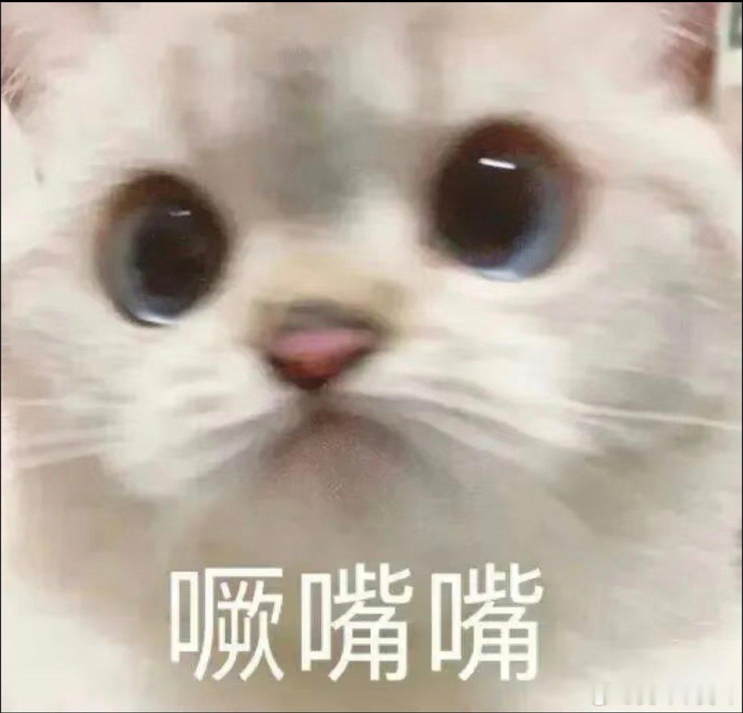 从santa clara驱车去cupertino~我自告奋勇，姐姐冷脸把我从驾驶室前打包去了后座，在我身边坐下，对司机说，以后别给她钥匙。[泪奔][苦涩][流汗]干嘛啦~人家一个老驾驶员！夸张嘞~ ​​​[委屈] ​​​