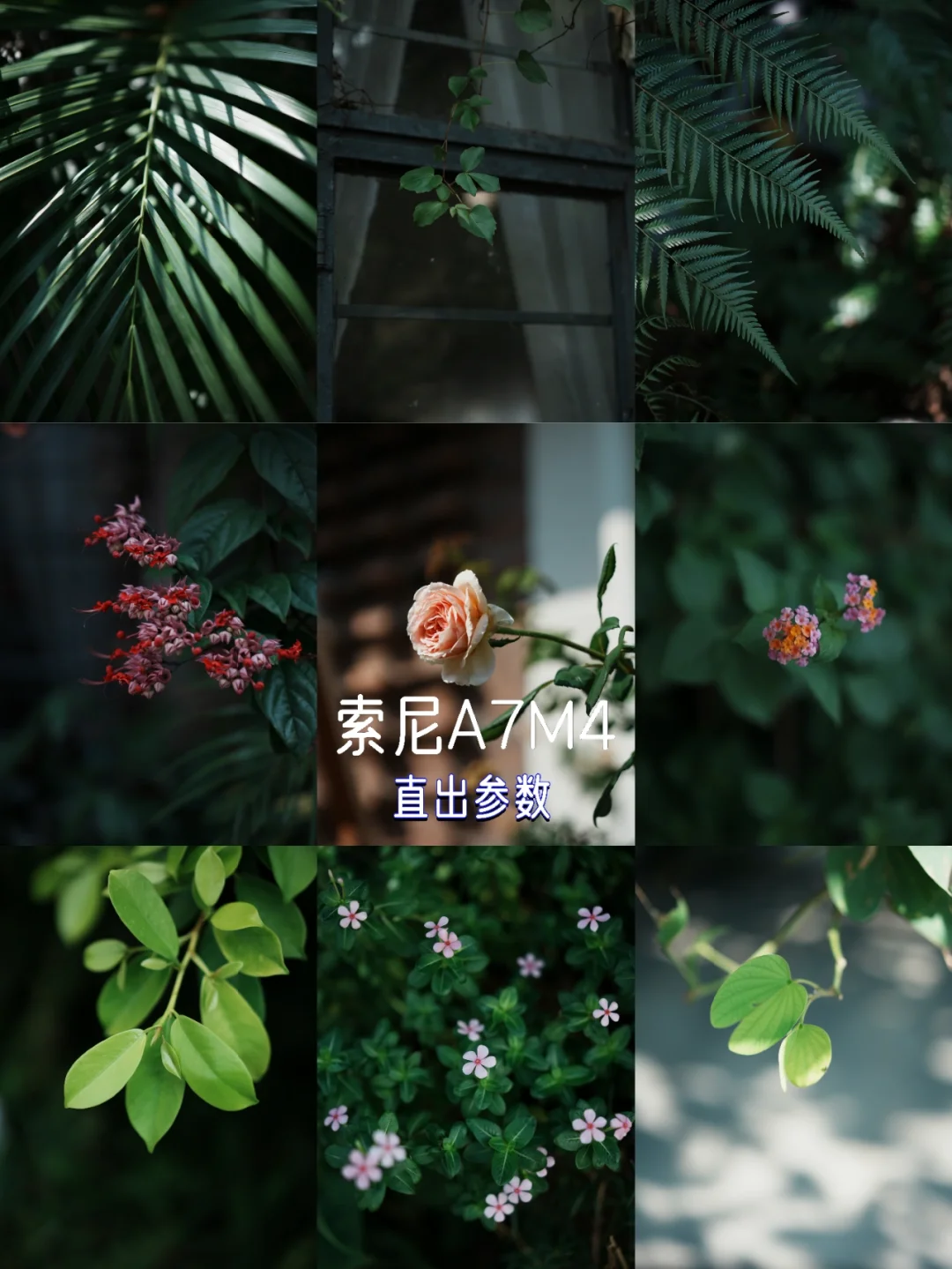 索尼A7M4机内直出 创意外观FL直出
