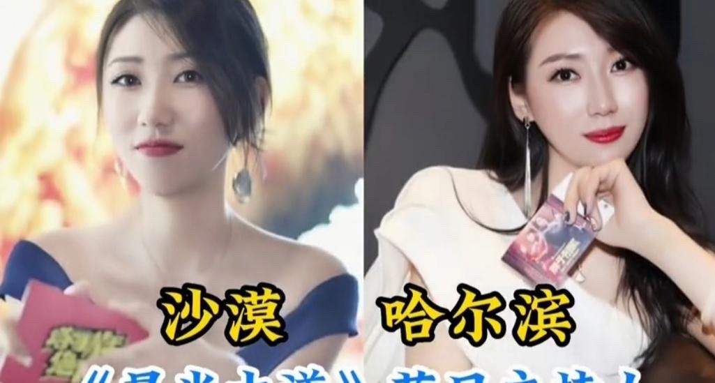 很多人总觉得东北人一开口就是大碴子味，但凡仔细盘盘国家级电视台那些台风极稳的面孔，你就会发现哈尔滨和齐齐哈尔简直是隐藏的播音大本营。
当年守着电视机看《焦点访谈》，敬一丹往那一坐，沉静、稳当，字字砸在地上都有回响，谁能想到这位全国人民最信赖的新闻主播，老家就在哈尔滨？
还有刘芳菲，站在各大晚会的
