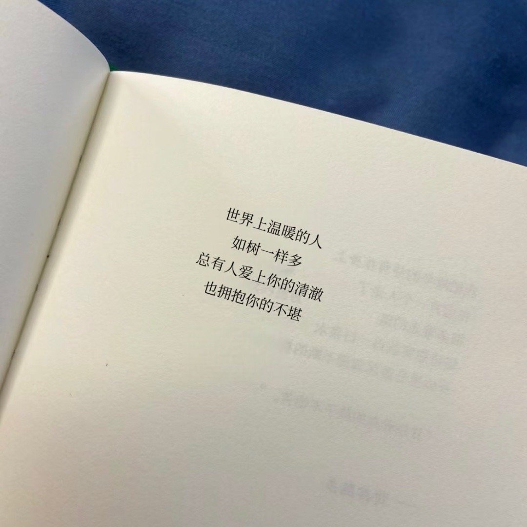 世界上温暖的人如树一样多 总有人爱上你的清澈 也拥抱你的不堪 ​​​