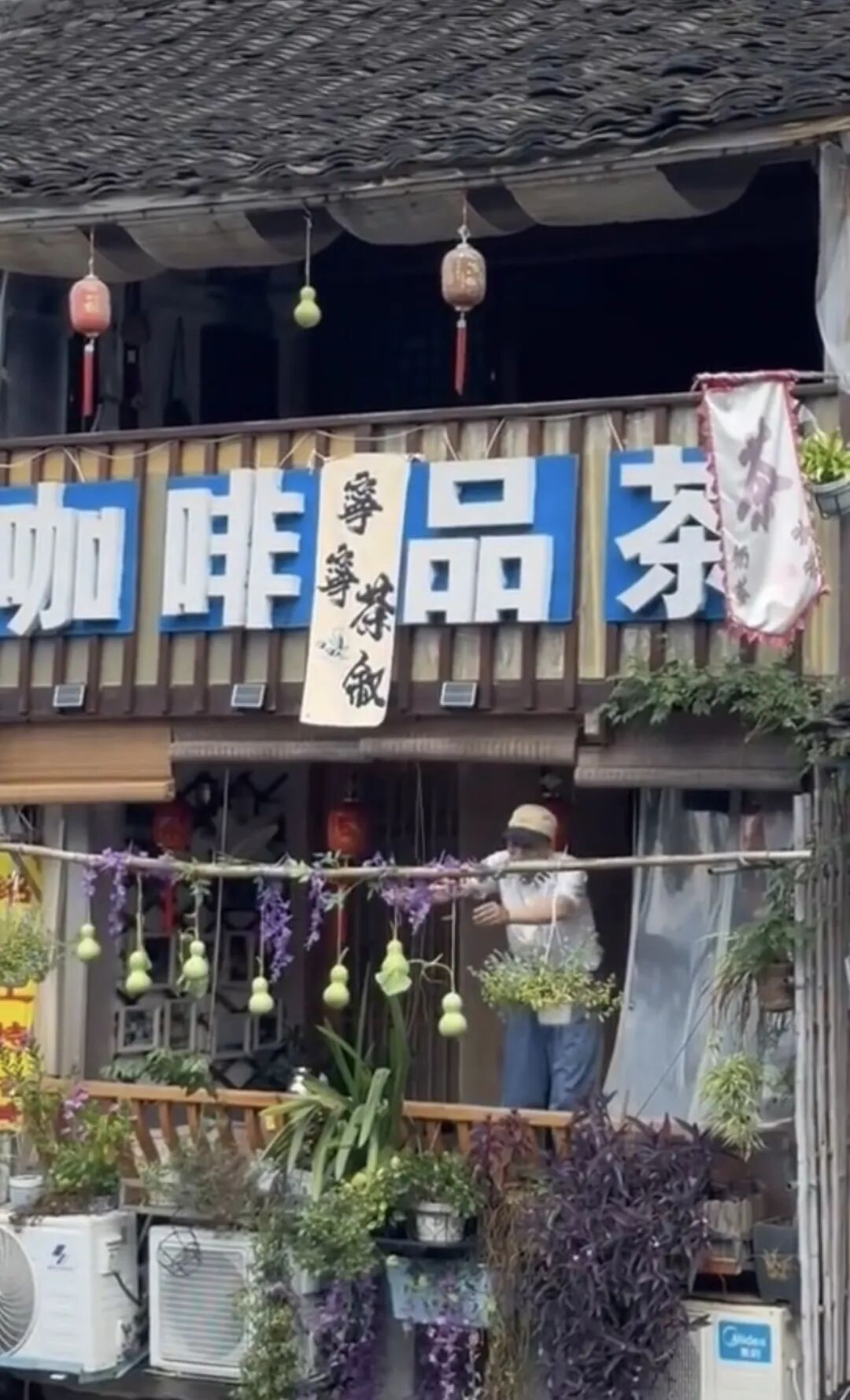 七个葫芦一夜被摘！流量狂欢，不该打扰普通人的晚年

绍兴书圣故里的七个天然葫芦，意外带火了 75 岁陈金敖爷爷的家。阳台藤蔓结出的七枚葫芦，神似童年动画葫芦七兄弟，短视频传播之后，各地游客蜂拥而至。河岸边挤满围观人群，网红轮番直播，还有人扮成蝎子精前来打卡，喧嚣喊声日夜不断，彻底打乱老人的居家日常，