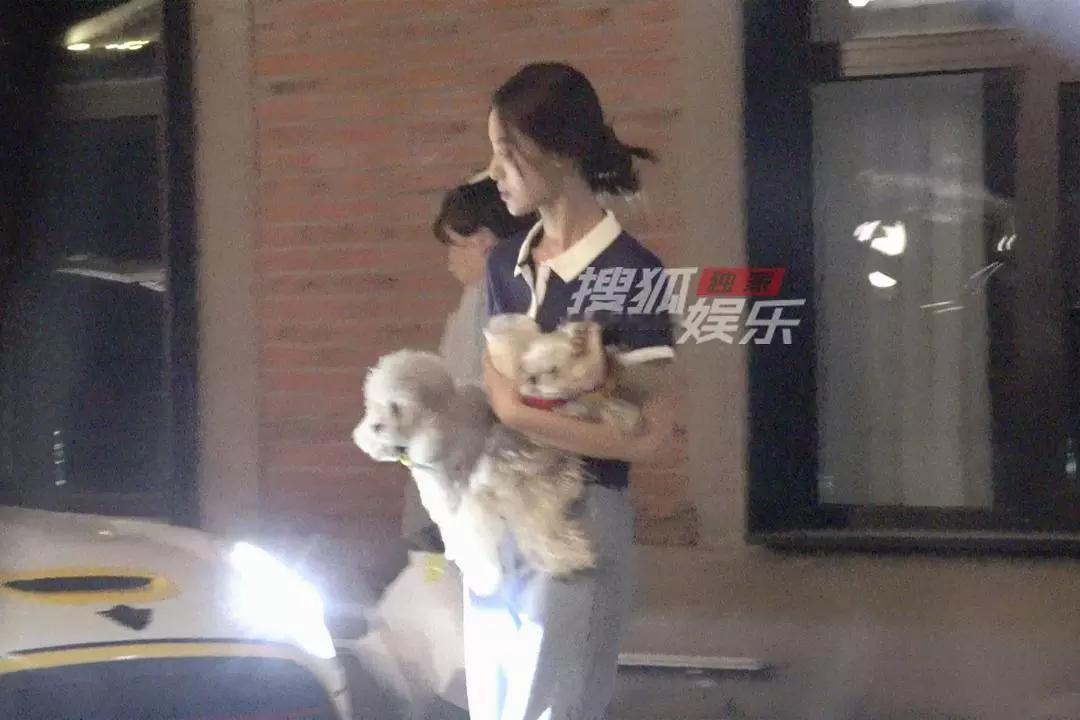 徐艺洋下班怀抱两只萌犬 私服清爽温柔满满治愈感