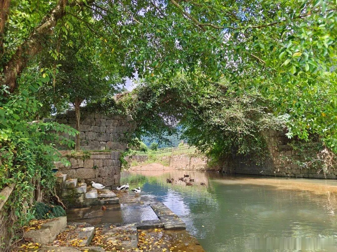 门楼桥：藏在乡村里的百年古桥✨门楼桥📍位置：金宝乡大利村委门楼自然村...