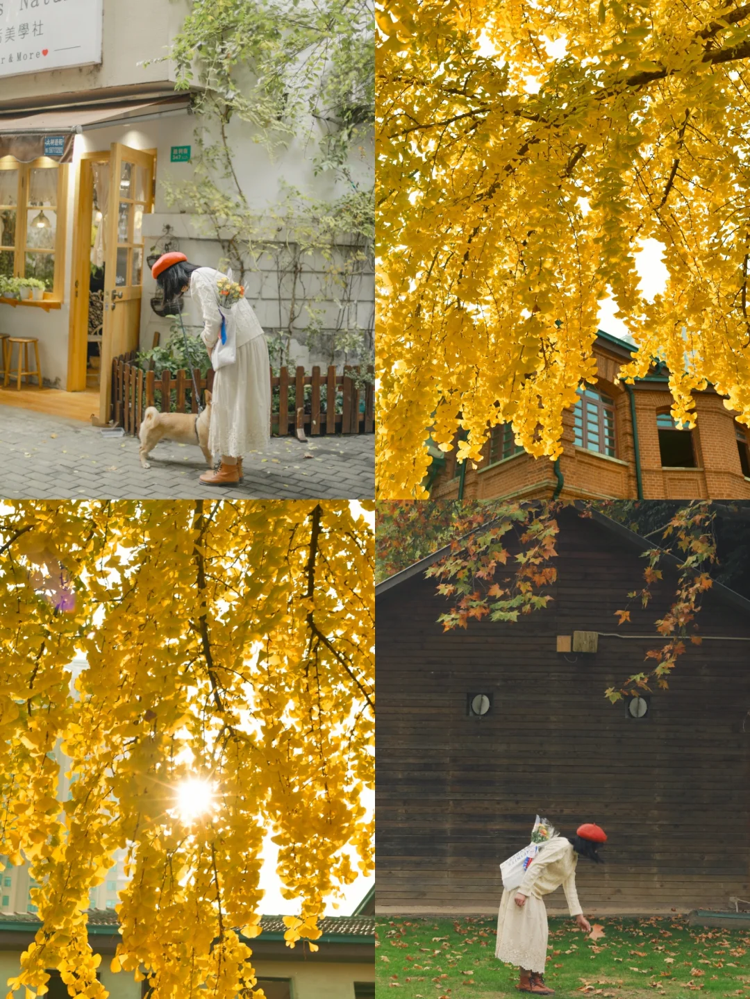 接下来几个月的武汉❗️堪称秋日浪漫天花板