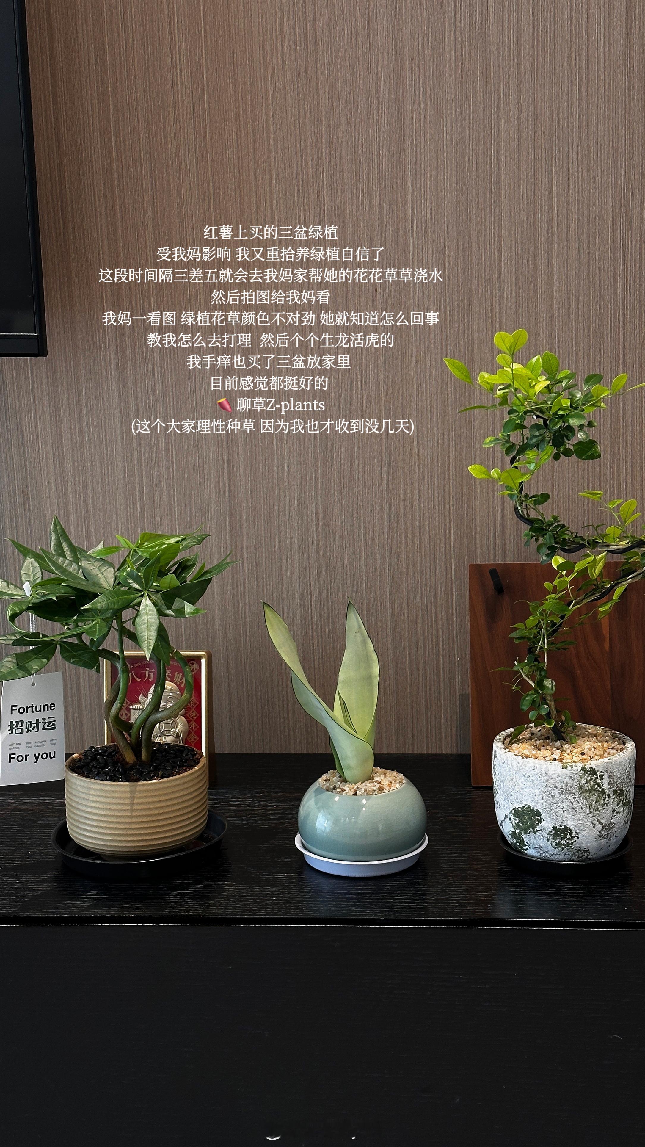 生活日记本plog更新嘿嘿嘿我来了