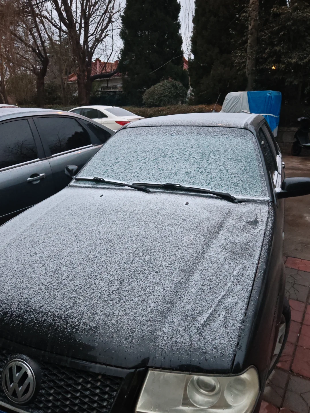 各位青岛骑手兄弟们，慢点骑哈