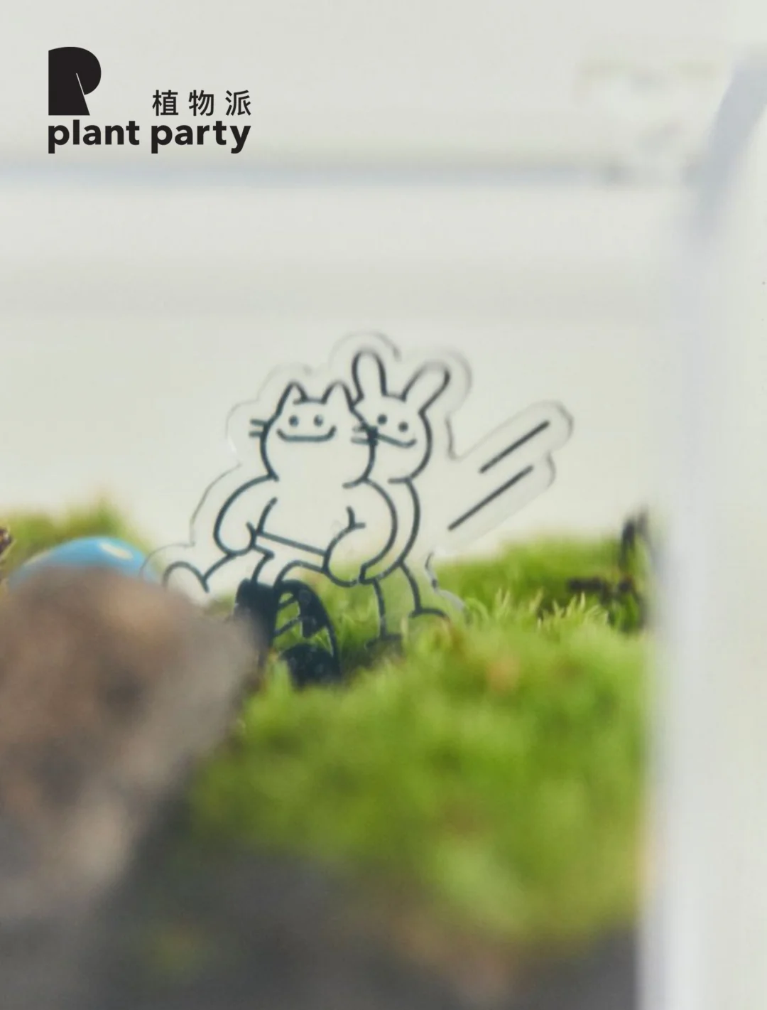 🧊 Do Nothing养苔藓不用太用力