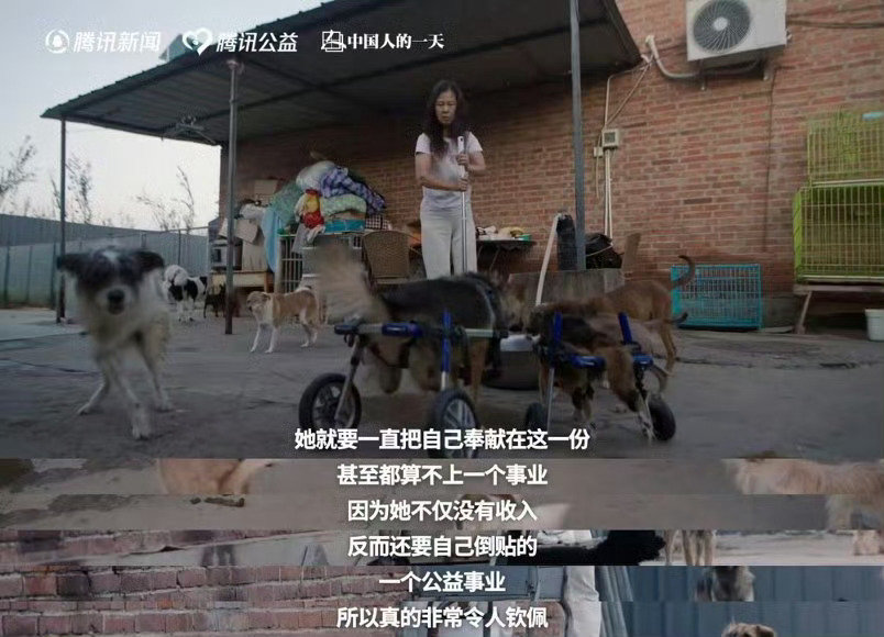 #于文文呼吁不要残忍抛弃宠物##志愿者称60%流浪动物熬不过北方冬天#于文文呼吁善待流浪动物，北方冬日严酷，大半流浪动物难以挺过，养宠务必做到不随意抛弃，小动物好可怜啊[泪] ​