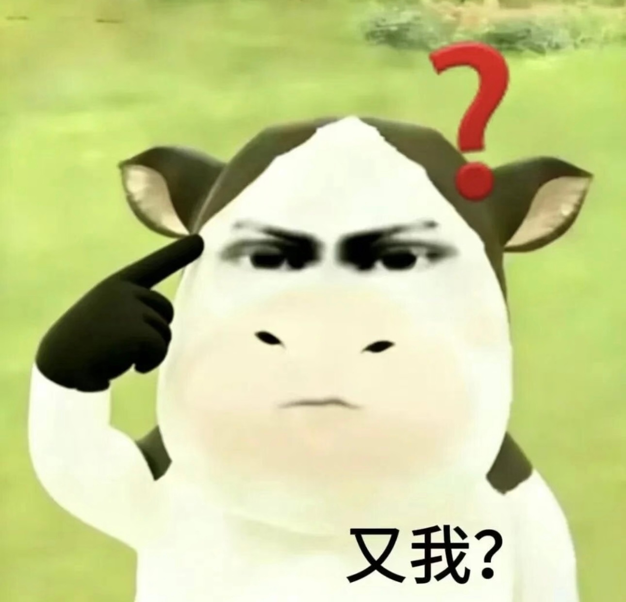 勇敢牛牛，不怕困难！ 支持你去跟和光拼了！ ​​​
