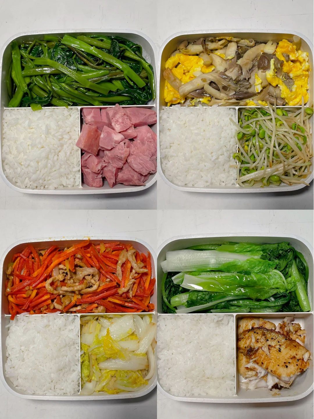 上班带饭已瘦30斤🍱好好吃饭也能瘦