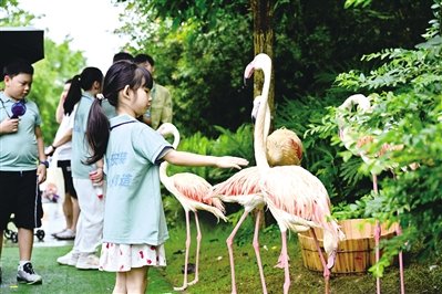【工会暖心带娃，职工安心一“夏”】为切实解决职工暑期子女看护难痛点，今年暑期，广东各级工会精准开展多元化的职工子女关爱系列活动，覆盖托育守护、亲子互动、异地团聚多个维度，守护职工子女健康成长，切实把工会温暖送到广大职工心坎上。 ​