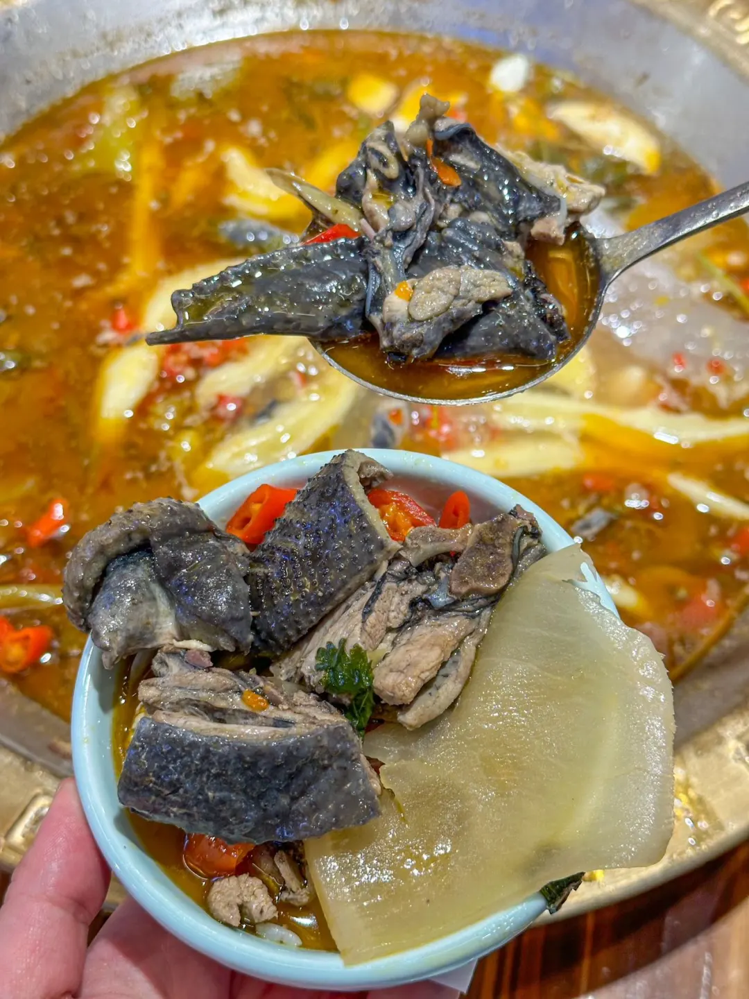 重庆黄泥磅！我逢人就推荐的泡菜鸡