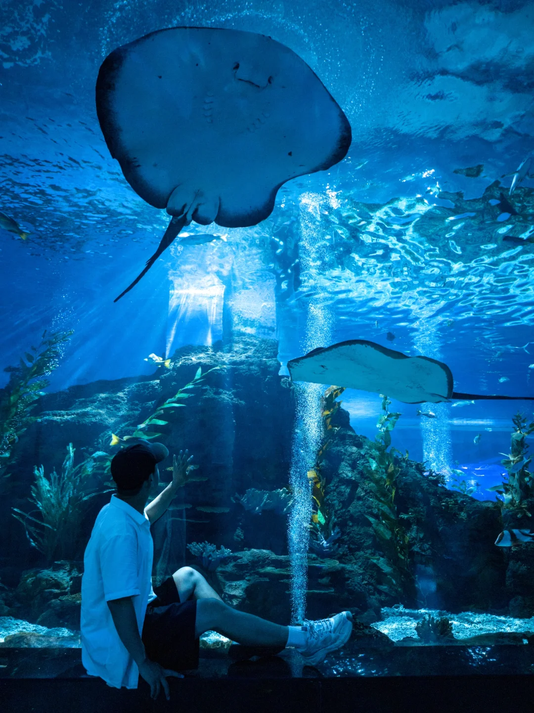 以为长隆已经够好玩了，直到我去了温州这里…