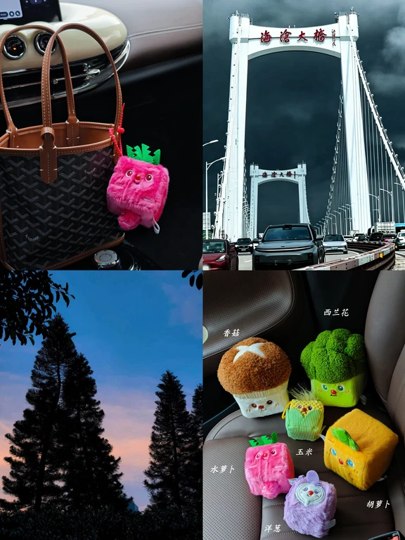我的车生活🚗｜赶路 有可爱作伴✨