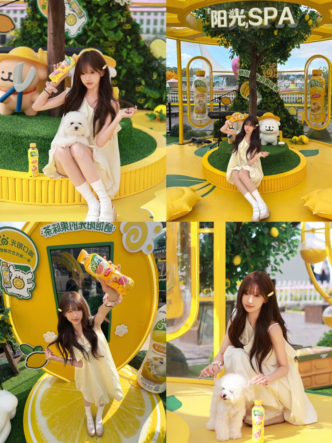 ₊⁺☀️和小狗一起晒太阳⸝⸝꙳✧*