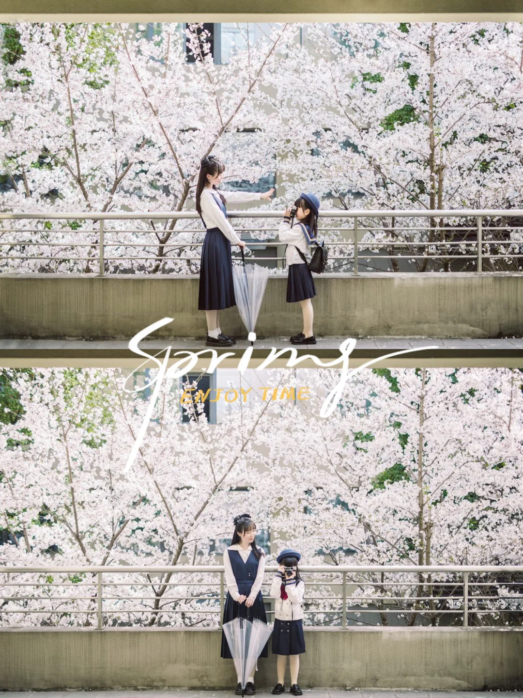 无锡这个樱花天台🌸简直可以封神了！