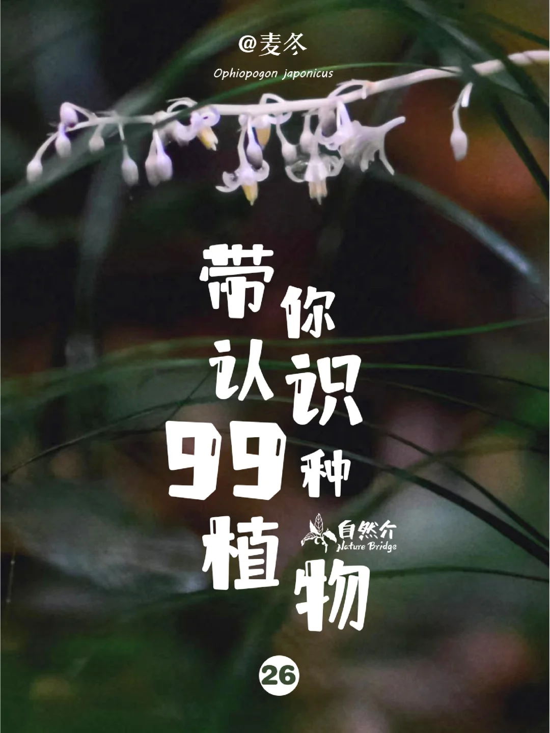 带孩子认识99种植物