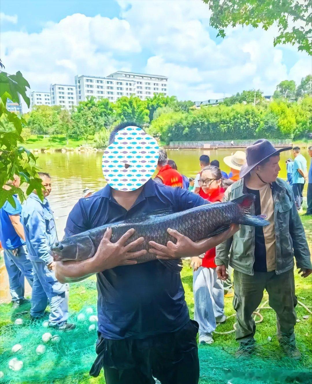 别人家的学校就是不一样，西南林业大学，捞鱼请全校师生免费炫：提供麻辣、红烧、五香多种口味。西南林业大学[超话] ​​​