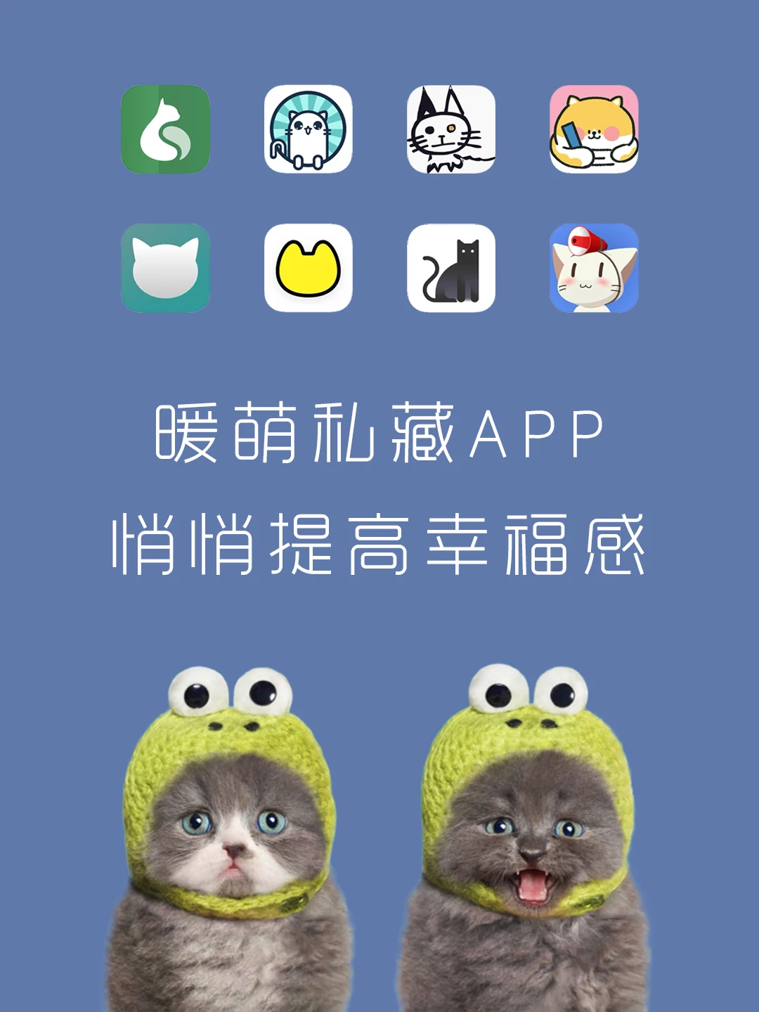 全是猫咪❤️这么可爱又实用你必须要拥有‼️