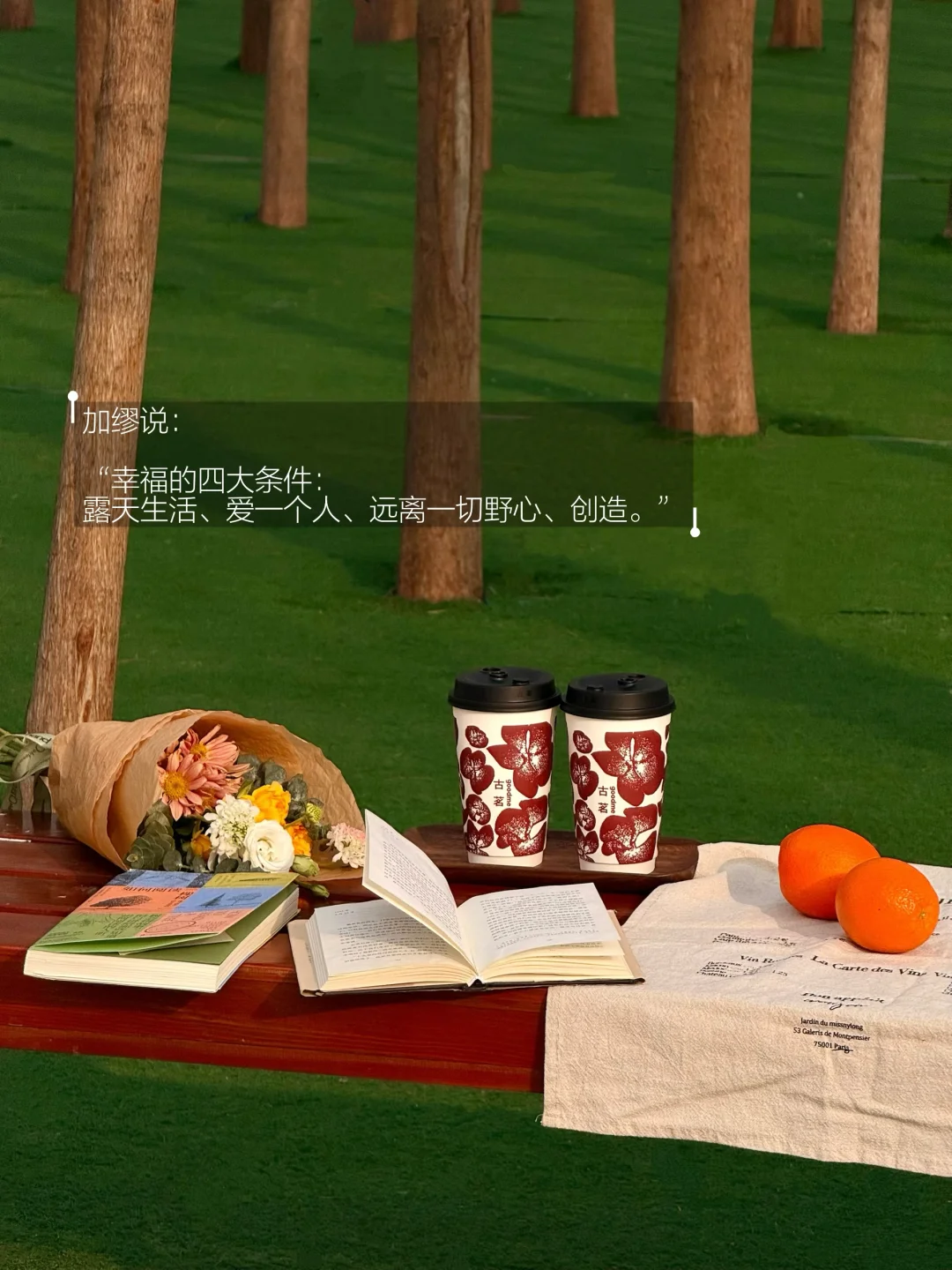 春天只想逛公园 看书 享受无所事事