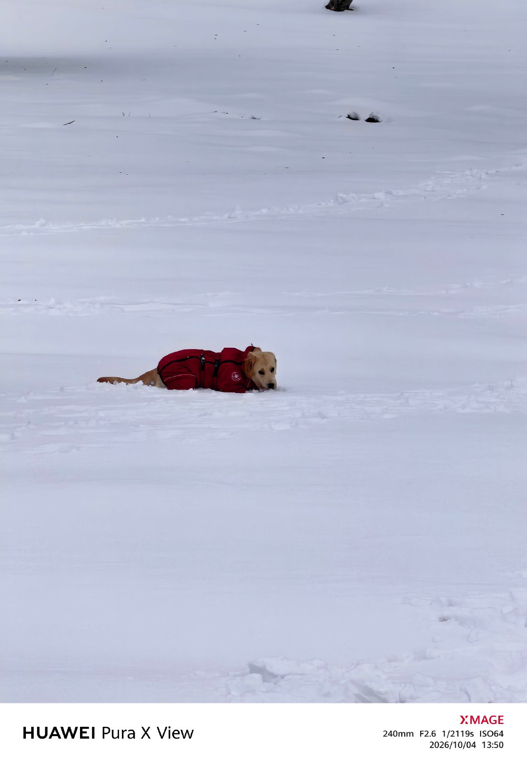 不是征服雪山，是雪山接纳了我的到访。  ​