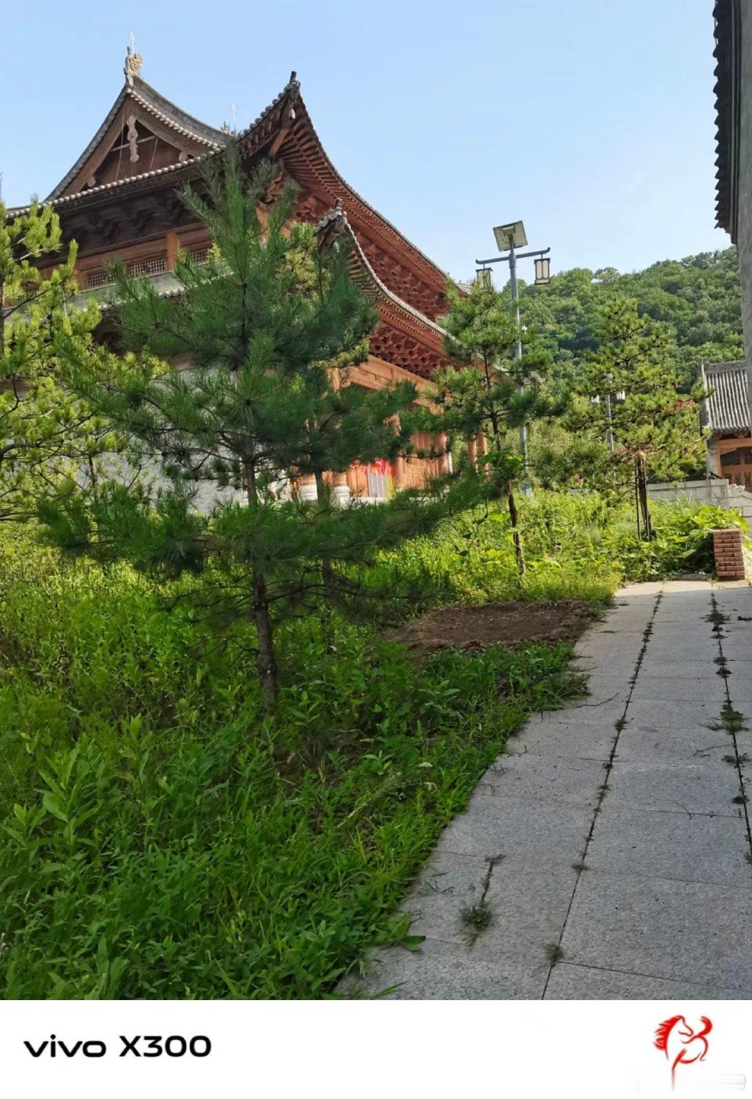 #vivo[超话]##vivo超话# 走在古色古香的院落里面，古建筑很有韵味，路边草木肆意生长，慢悠悠散步，整个人都可以从忙碌的生活里抽离出来。 ​