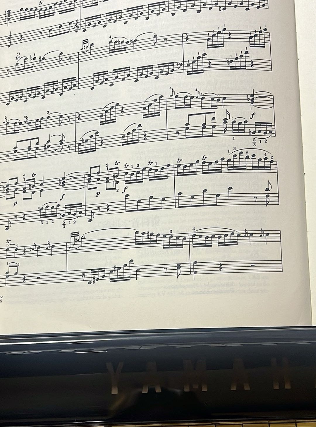 求学时偏爱李斯特，痴迷于乐曲华丽磅礴的炫技表达；现在好像慢慢读懂莫扎特作品里简约克制下的规整与通透。 ​
