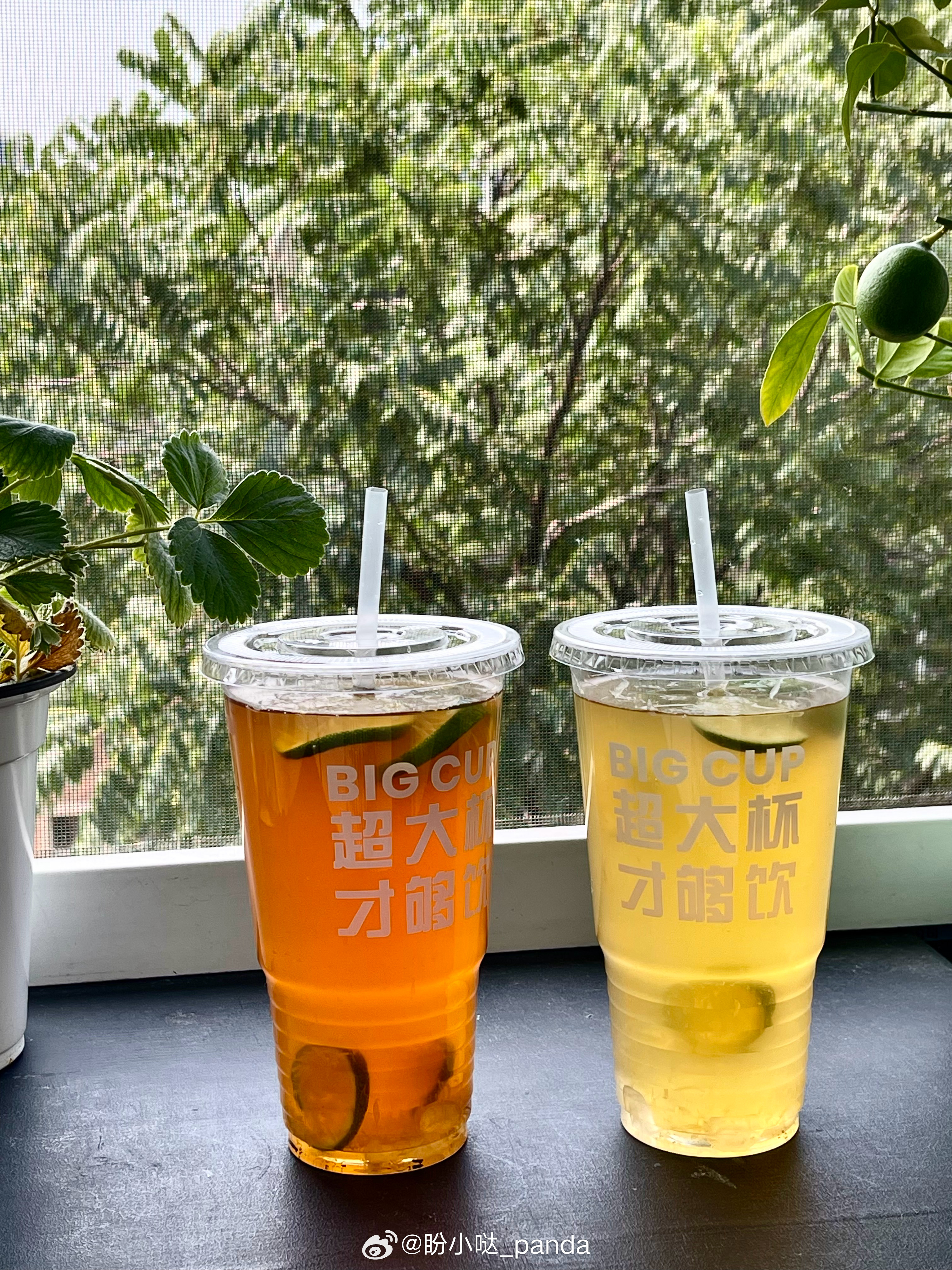 今天的去火气快乐水是「自制暴打柠檬」 做了两杯，一杯我去火气喝，茶底比...