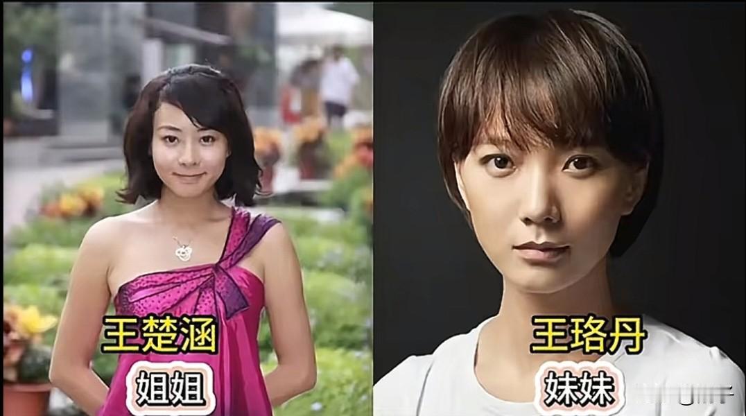 孙俪藏了十几年的亲妹妹，原来就在《甄嬛传》里。
她叫孙艳，两人同父异母。她演过小玉娆，也演过《安家》里的少年房似锦。
她于2020年考进北电表演系，和焉栩嘉、夏梦同届，2024年毕业。她没怎么把姐姐当作宣传点，也不急着往热搜上凑。
姐姐早已是收视女王，妹妹还在小角色中磨炼。同一血脉，一个在台前