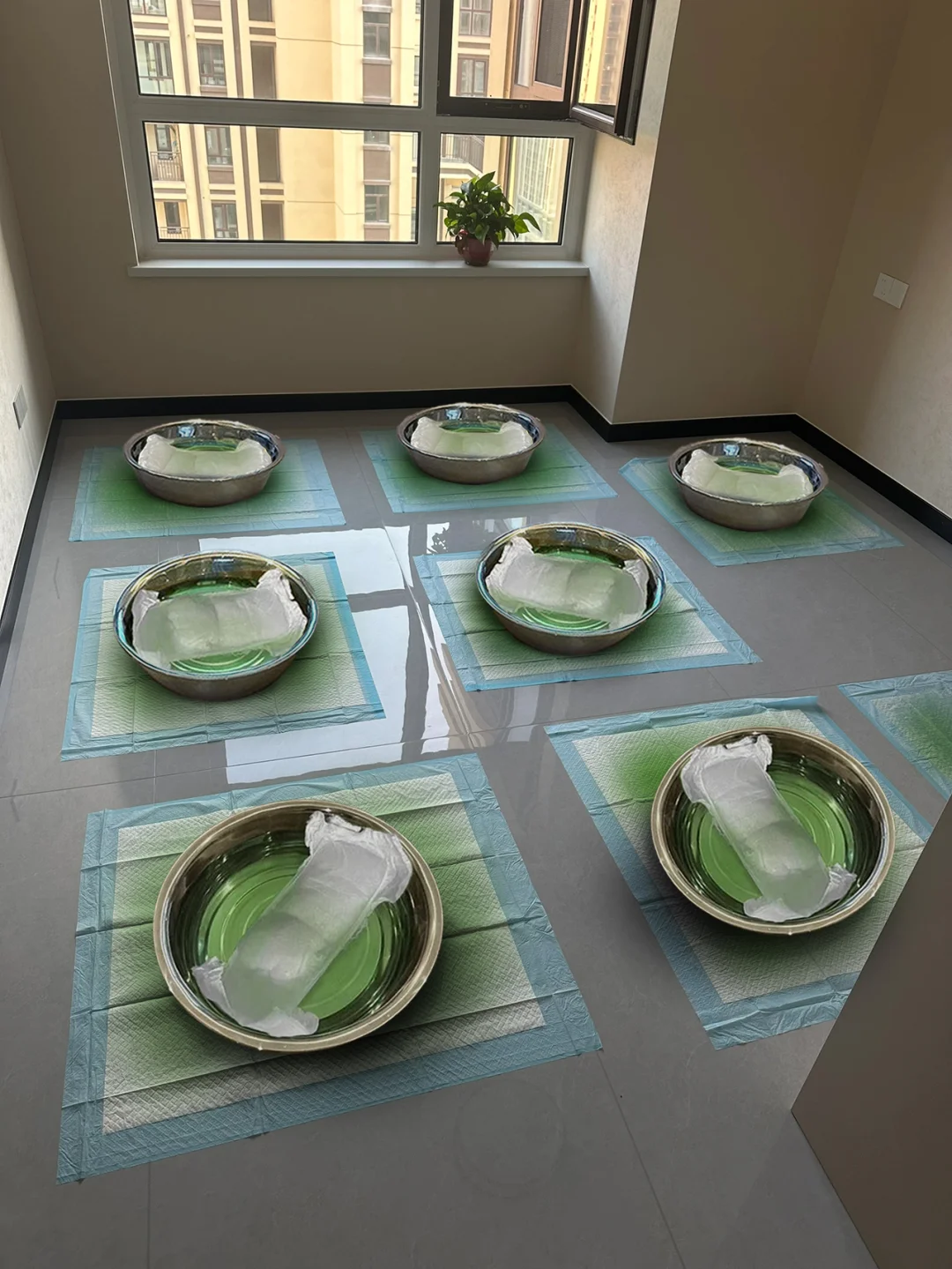 入住了，劝大家不要因为无知伤害身体（甲醛