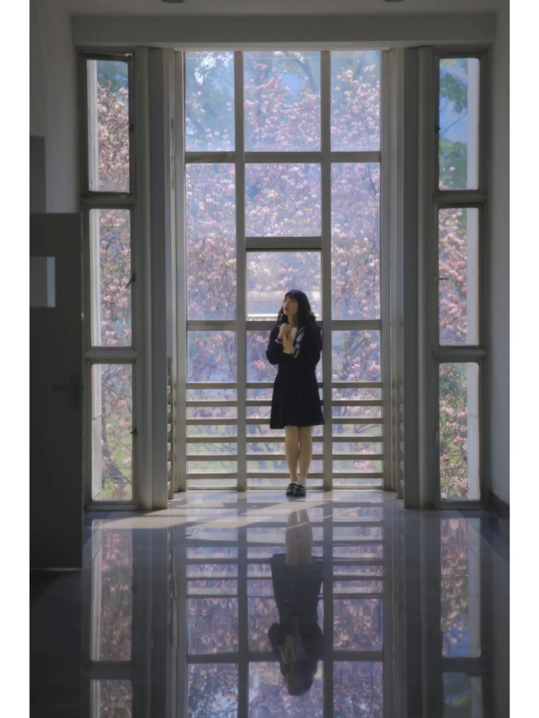 武汉这个玉兰教室封神了❗️误入动漫场景