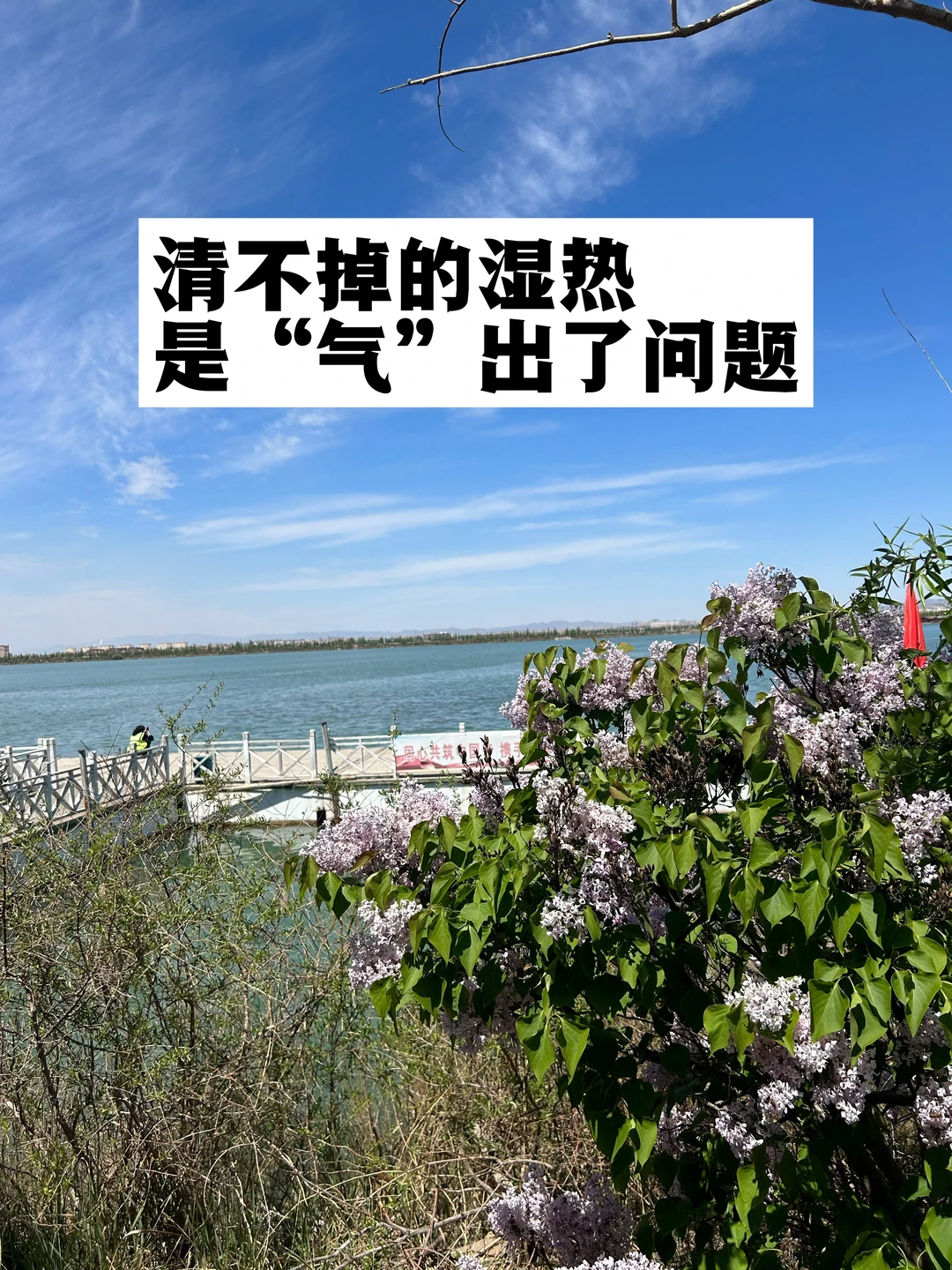 清不掉的湿热，是“气”出了问题.