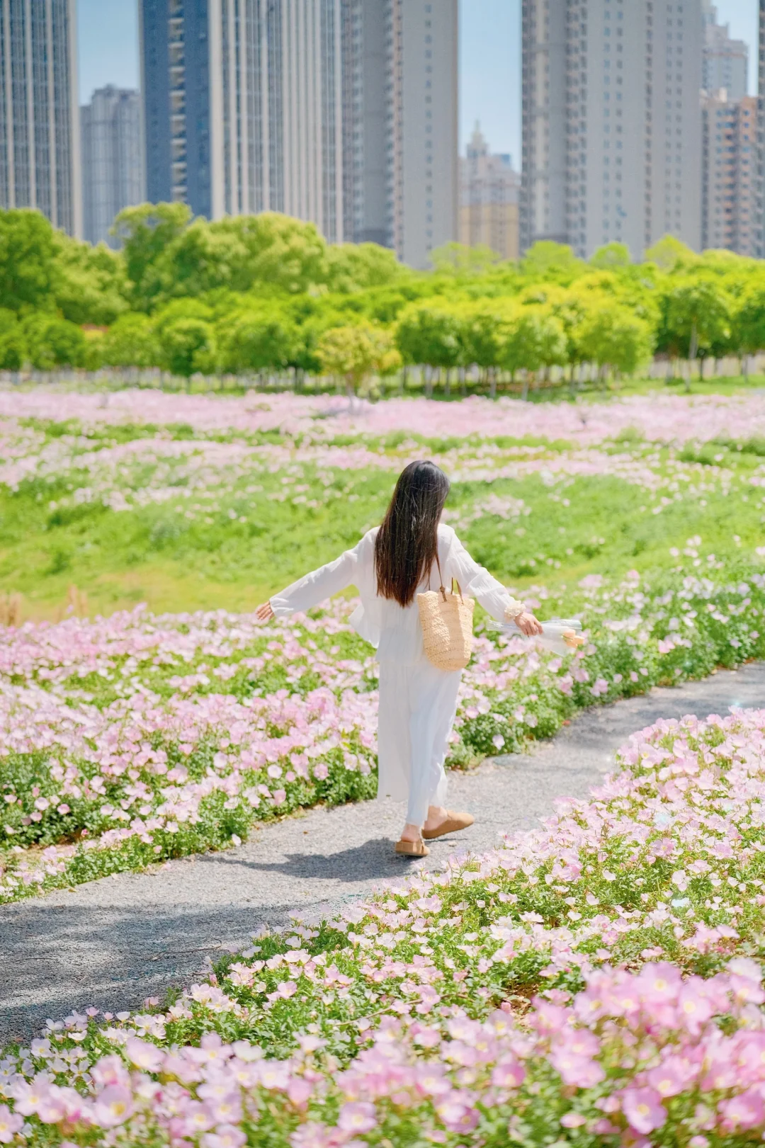4.15实拍，武汉发现一大片月见草花海‼️