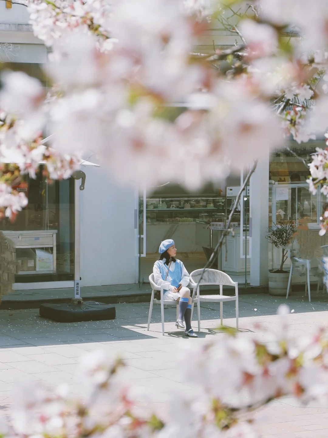 我说这是小区樱花的天花板，谁赞成谁反对❓