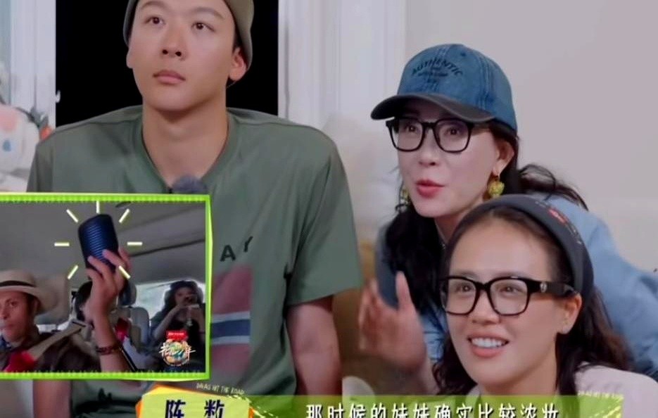 那英演唱会包厢里，五个声音齐喊“老那我爱你”。台下那英笑了。这是挪威雪夜里许下的约定。

录节目时，小妹张雅琪总爱补妆。陈数隔着屏幕说：“妹妹妆是挺浓。”张雅琪有点不好意思。李沁马上打圆场：“第一天烟熏妆嘛，正常。”那英更直接：“别老照镜子，多看看风景。”

后来张雅琪妆淡了，话多了。姐妹几个该说就