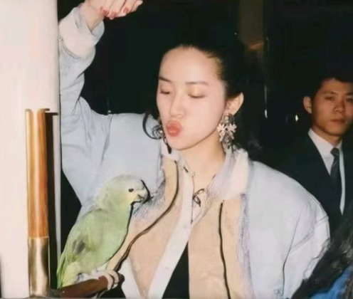 Anita的宠物之一