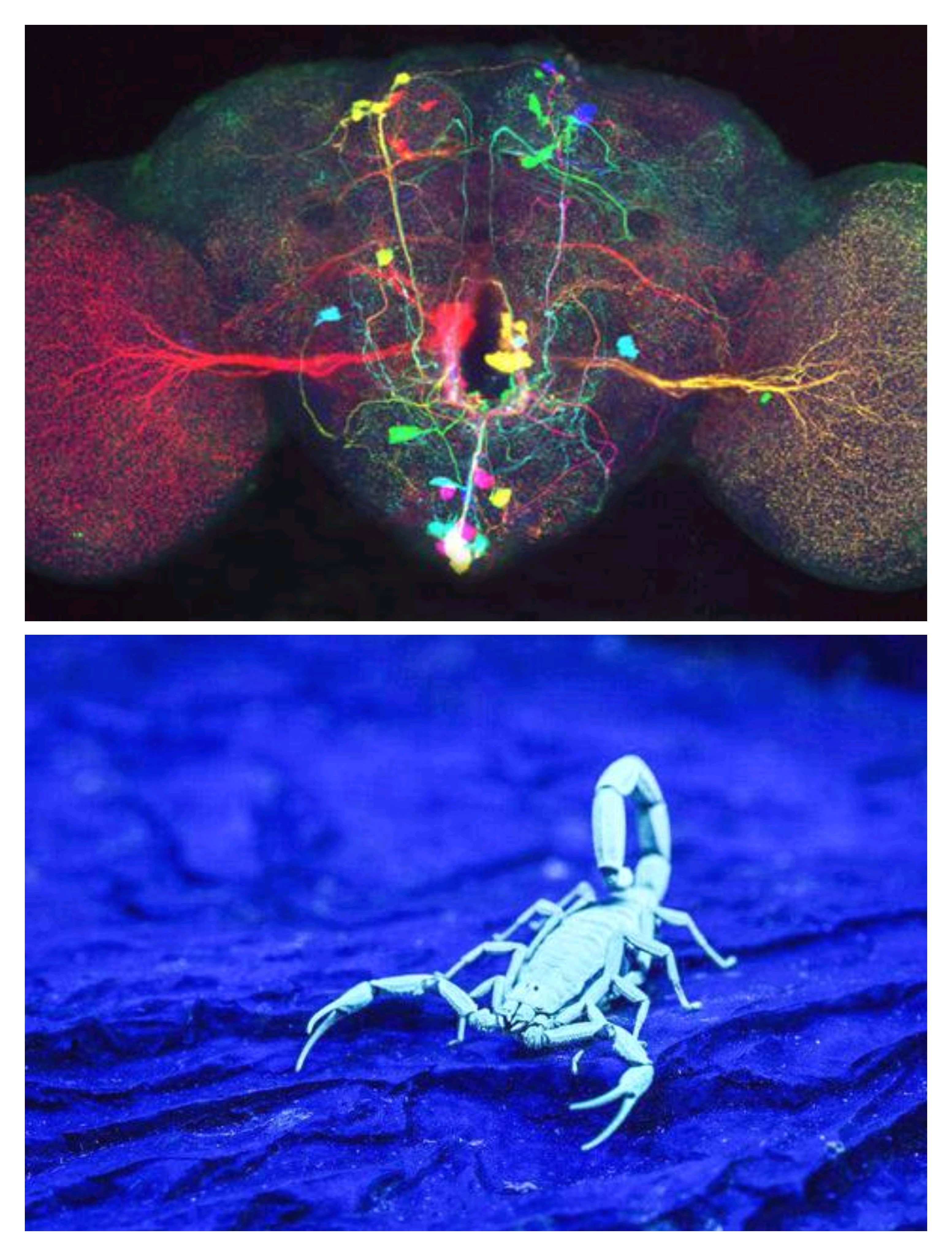 天蝎座：你以为的“控制欲”，其实是未来最稀缺的深度洞察力
