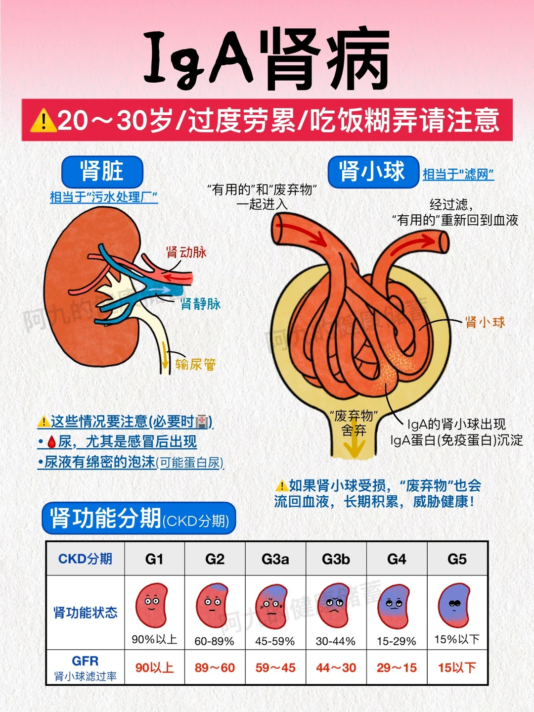 20-30岁是重灾区！过度劳累可能拖垮你的肾‼️