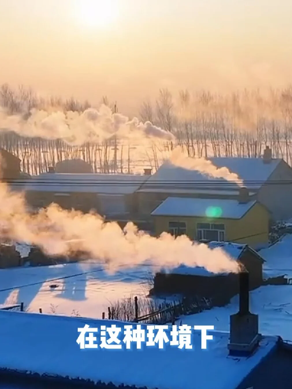 为什么东北人爱生吃蘸酱菜