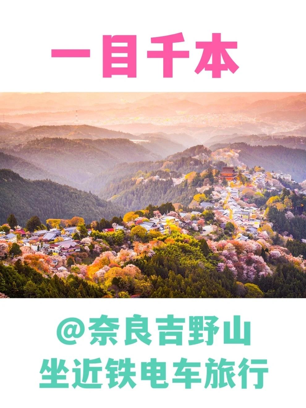 坐近铁电车🚃旅游‼️奈良❌吉野山攻略