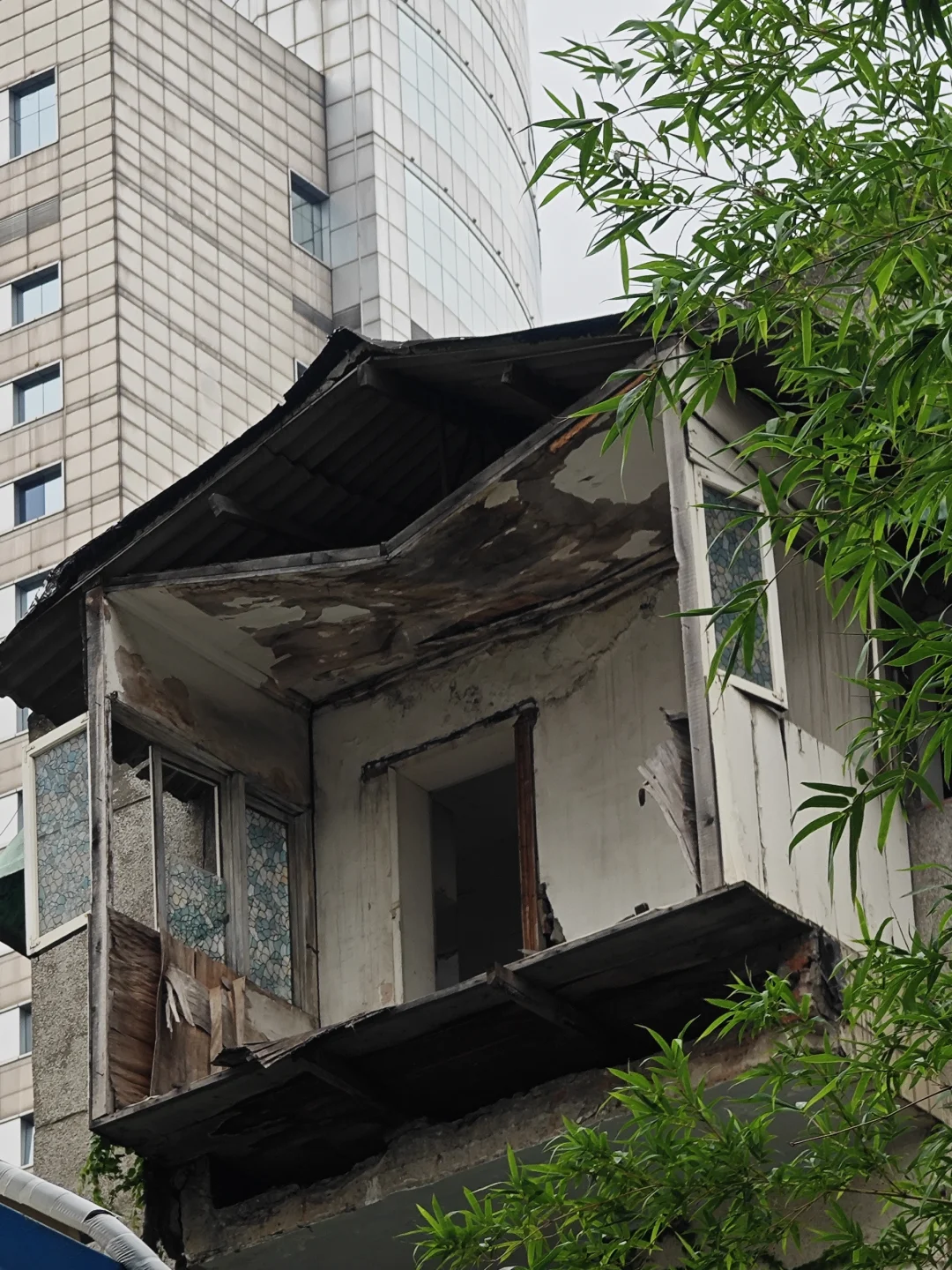 快回！不然家都没了...