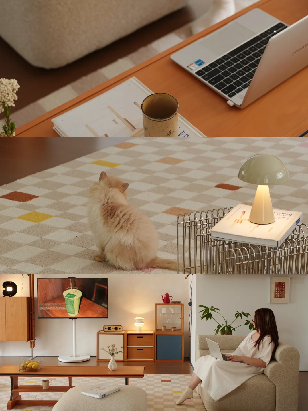 cat life🪴🐱和咪宅家的治愈时刻～