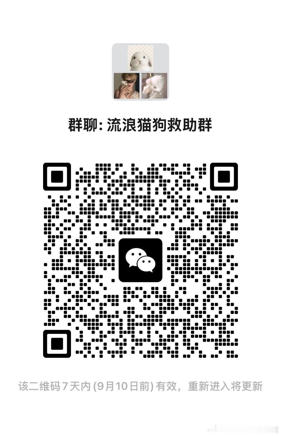 流浪猫狗救助群，快来加入我们吧#流浪动物救助[超话]##为动物发声[超话]##为动物发声[超话]##流浪动物救助# 
不玩虚的！这是一个每一分钱都晒在阳光下的流浪狗救助群 🐱💰
想救助流浪猫，又怕遇到不靠谱的群？怕爱心被滥用？
我们懂你的顾虑。所以，这个群最大的规矩就是——财务绝对透明！
✅ 费 ​