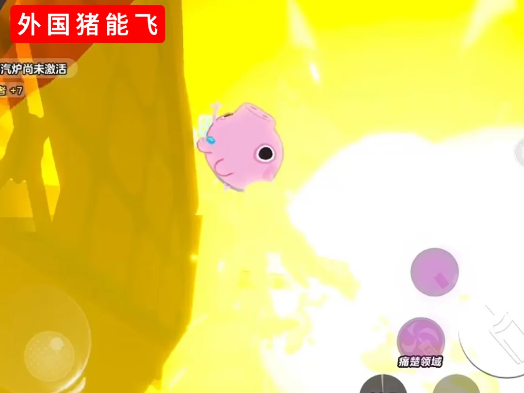 外国猪能飞