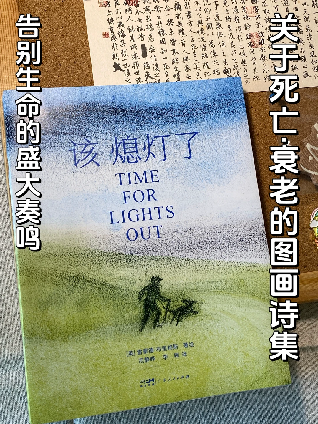 22岁读这本"老人书"👓竟被戳中了好多瞬间